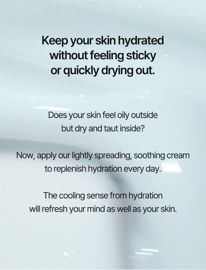 Torriden DIVE-IN Soothing Cream 100ml Double Pack