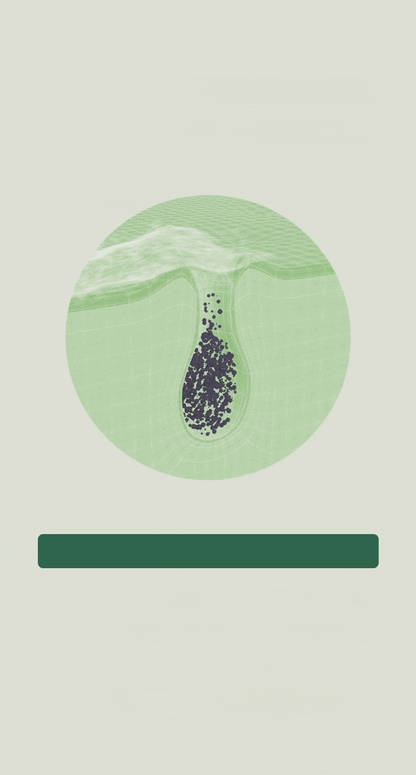 Anua Heartleaf Pore Control Cleansing Oil