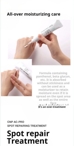 AC-PRO Spot Repairing Treatment